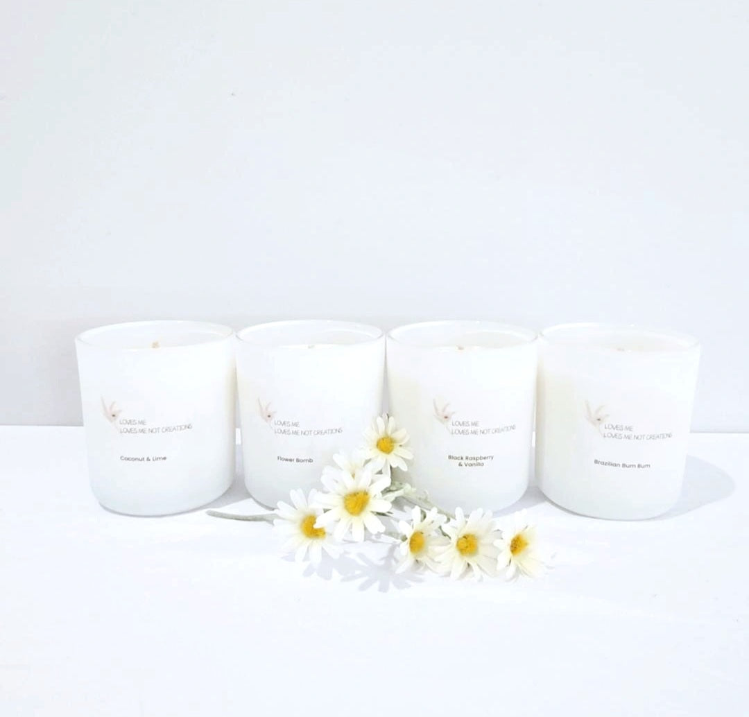 Daisy Glow Collection