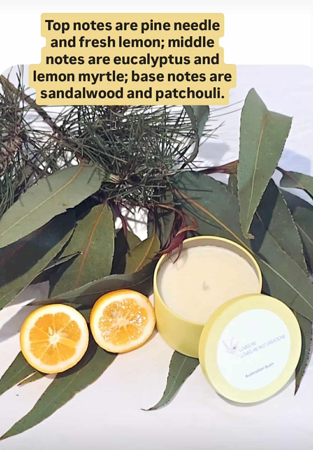 Pastel Dreams Collection