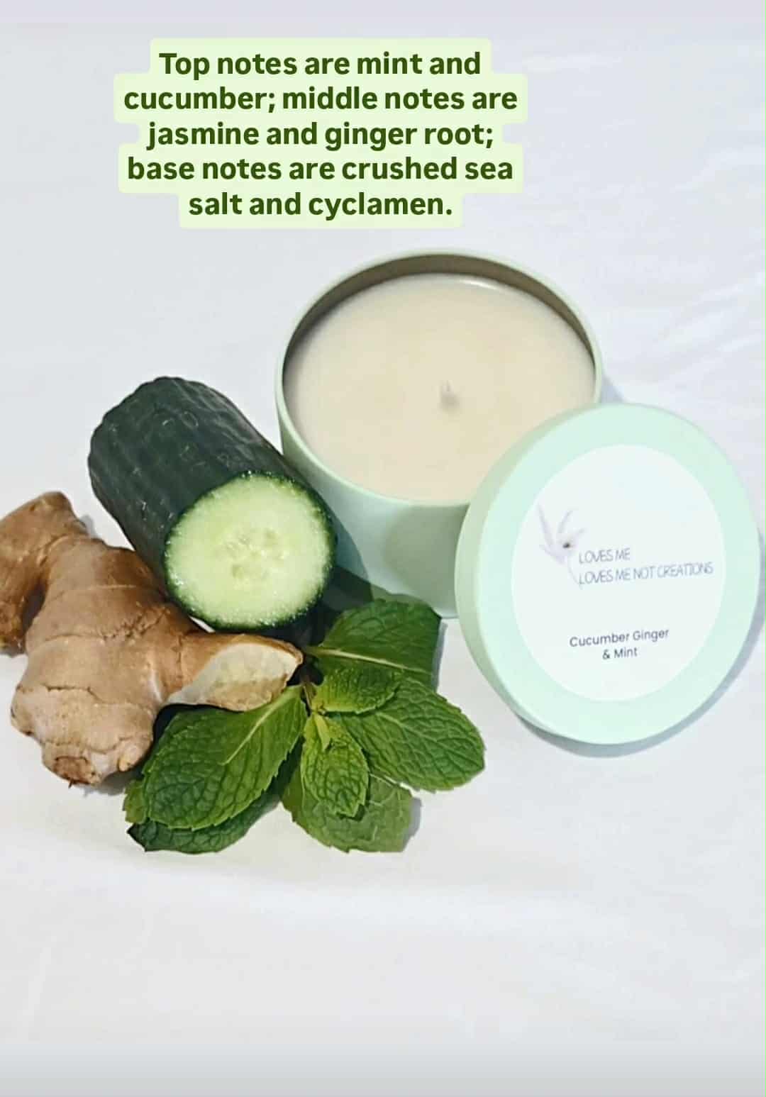 Pastel Dreams Collection